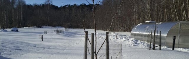 Talvised ja varakevadised aiatööd. Mõnus vaheldus keset pikka puhkust