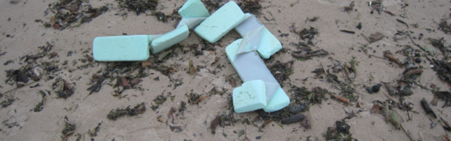 Tõnis Mölder: Merede plastireostusest on saanud meie uus kriis