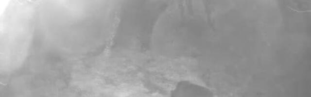 FOTO | Saaremaal on jälle karu