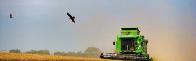 Venemaa teraviljasaak ulatus pea 125 miljoni tonnini