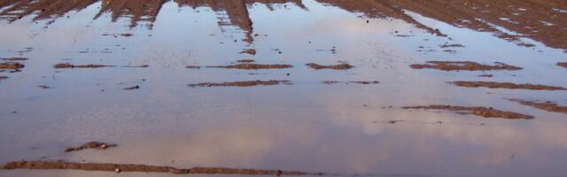 Leedus kuulutati vihmakahjude tõttu välja eriolukord