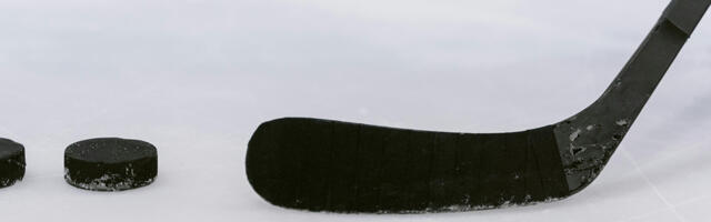 5 populaarset jäähokiliigat Euroopas, mida tasub jälgida