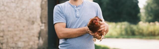 Eesti üks paremaid mahetootjaid tõstis hinda ja suurendab tootmist. “Muud varianti ei olegi”