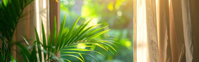 5 lihtsat nippi, kuidas puhastada kodu halvast energiast ja taastada rahu ning hea uni