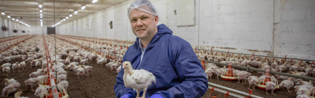 Maag Agro juht Priit Dreimann: “Saan tänada ainult oma „võitluskaaslasi“, kes ei lase mul rooste minna”