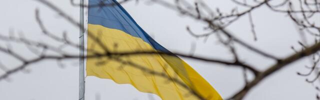 Kerli Dello vestlus muserdatud idanaabriga: mida ma tegema pean? Passi ära põletama?