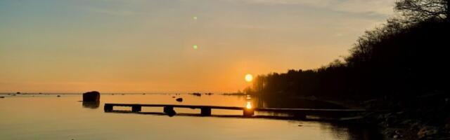 Kaarel Zilmer NÄDALA GALERII