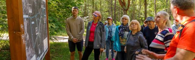 Algasid suvised metsakümblused Nõmme metsades