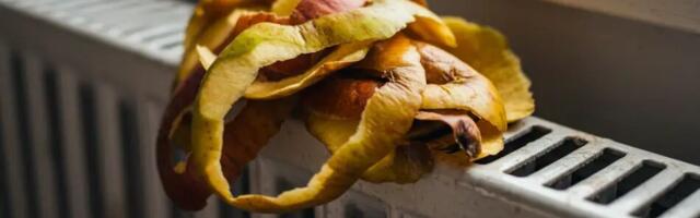 Just sellepärast panevad paljud inimesed õunakoori radiaatoritele