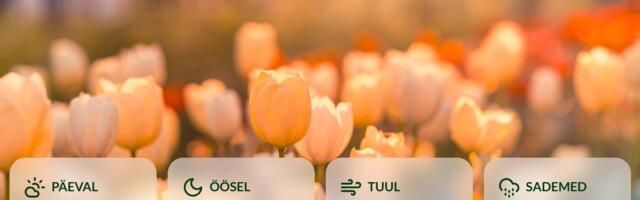 ILMATEADE | Emadepäev toob kevadist soojust, uuel nädalal tõuseb õhutemperatuur veelgi