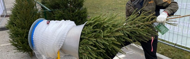 Avati esimesed ööpäev läbi toimivad jõulupuude iseteeninduspunktid