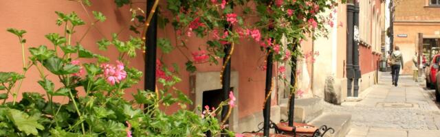 Kuidas valed lipud seltsi keeletunnis paksu pahandust põhjustasid