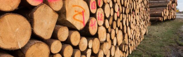 Rahvusvahelised sertifitseerijad andsid Venemaa puidule märgistuse "konfliktpuit"