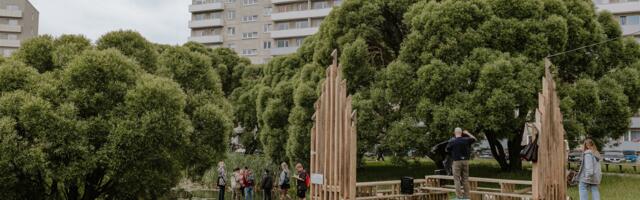 Varjualune kakskümmend, palun!