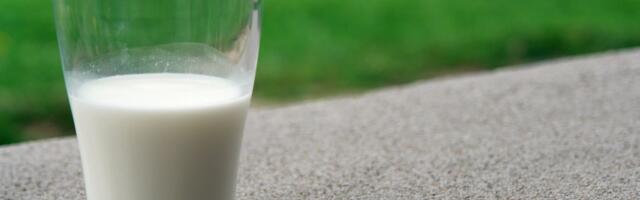 Juuli toidupoes: liha- ja piimatoodete hind aina kerkib