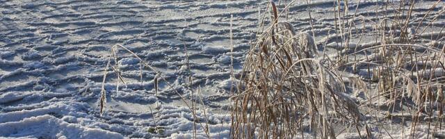 Tänasest võib jalgsi minna Lämmijärve jääle Salusaare ning Piirissaare vahelisel alal