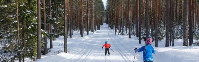 „Mul ei olegi enam ruumi!“ Metsateedele lükatud suusarajad teevad jalutajate elu kibedaks
