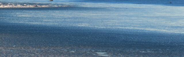 Riina MÄRKMIK: Lumi ja päike, avita!