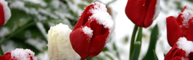 Aprilli jagus nii soojust kui ka lund