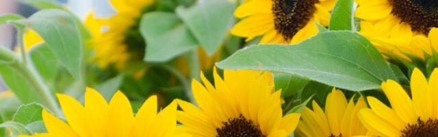 Päevahoroskoop : kolmapäev, 13. august