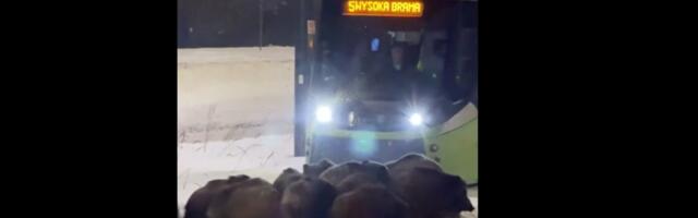 DELFI VOOG | Video_ metsseakari seiskas Poolas trammiliikluse