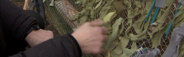 Reporter: Viimsi rannarahvas punub ukrainlastele kalavõrkudest kamoflaažvõrke