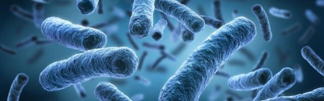 Lätis kasvab legionelloosi nakatumise arv