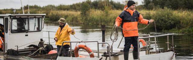 Eesti saavutas Läänemerel 45% kilu ja 15% räime püügivõimaluste kasvu