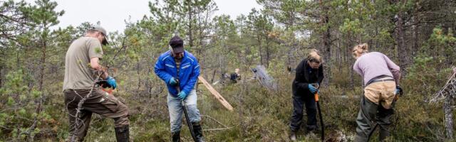 Kohus peatas osaliselt Kikepera looduskaitseala veerežiimi taastamise töö, vaidlus jätkub