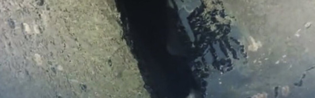 Parvlaeva Estonia uued uuringud merel võivad alata juba juulis