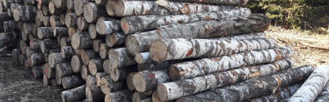 Näpi saeveski sulgemise taga on nii kohalikud kui globaalsed probleemid