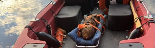 Peipsi põhjaranniku puhkealal leiti lennukipomm