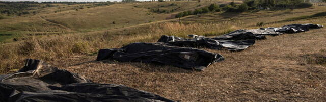 992-й день войны | Генштаб ВСУ: потери РФ в Украине выросли на 1770 солдат за сутки