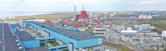 Eestiski tegutseva metsakontserni tulemus kukutas aktsiat