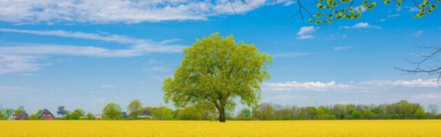 KUST LEIDA TUGEVA KOGUKONNAGA EESTI KÜLAD