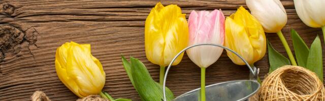 ChatGTP: 1. mai tähistamise traditsioonid Eestis läbi ajaloo