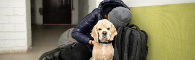 Korteriühistutele valmisid soovitused varjumiskohtade parandamiseks