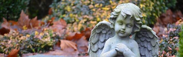 XI klassi õpilase Mirel Missiku eestvõttel korrastati Viiratsi vaestekalmistu