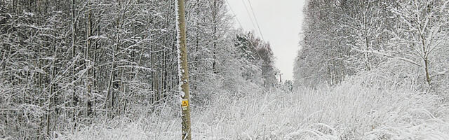 Elektrilevi ja Päästeamet hoiatavad saabuva lumetormi eest