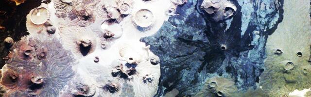 „Põrguväravad“ Saudi Araabias_ arheoloogid on sammu võrra lähemal 9000 aasta vanuse saladuse lahendamisele