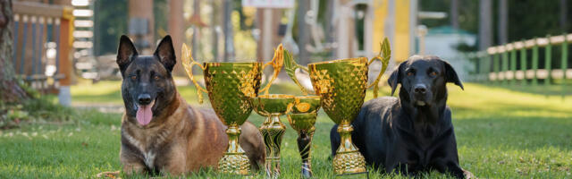 Selgusid parimad narkokoerad ja nende juhid