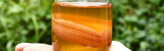 Teeseen: looduslik superjook, mis tugevdab immuunsust ja puhastab keha