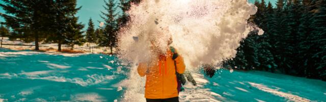 28. jaanuaril saavad neli tähemärki universumilt sõnumi, mis võib muuta üht olulist otsust