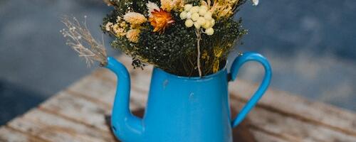 Oodatakse kandidaate Peipsimaa turismivaldkonna parimate tegude ja tegija tiitlile