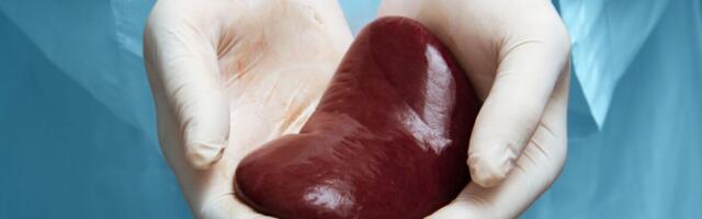 Eesti sai kuuga juurde üle 7000 võimaliku elundidoonori