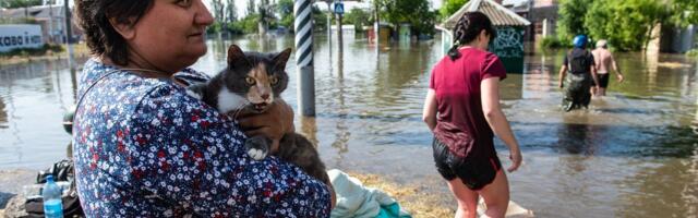 INTERVJUU | Jonatan Vseviov: igavesti ei saa Venemaa süüst pääseda. Agressorid lähevad kohtu ette ja kahjud makstakse kinni