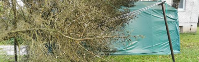 Lõuna-Eesti päästjad likvideerisid tormikahjusid