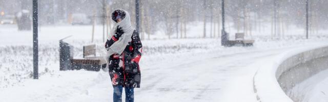 NÄDALAVAHETUSE ILM | Lumesadu jätkub, temperatuur püsib 0 kraadi lähedal