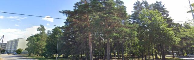 Tamme tänava krunt leidis ostja