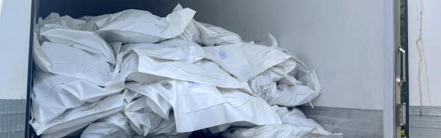 EMOTSIOONID ON LAES: laibakottide hange kütab kirgi